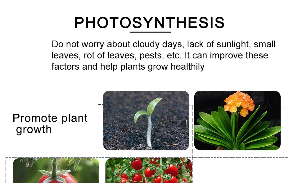 COB led plant grow light (6)