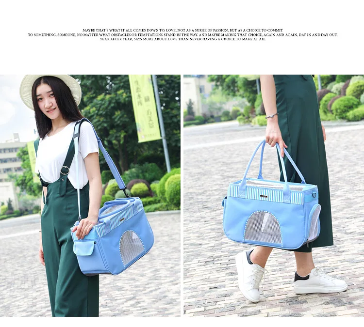 Cat Carrier (12)