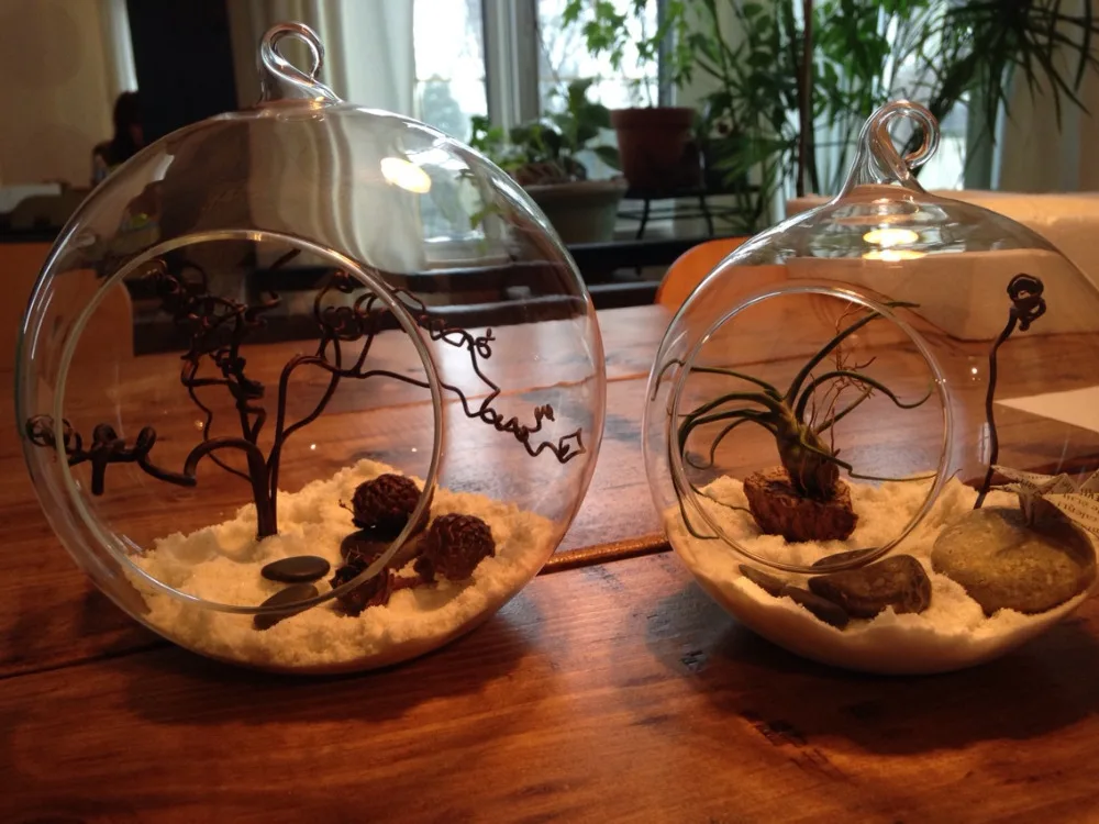 2PCS/Set round/flat bottom hanging glass orbs air plant terrariums for