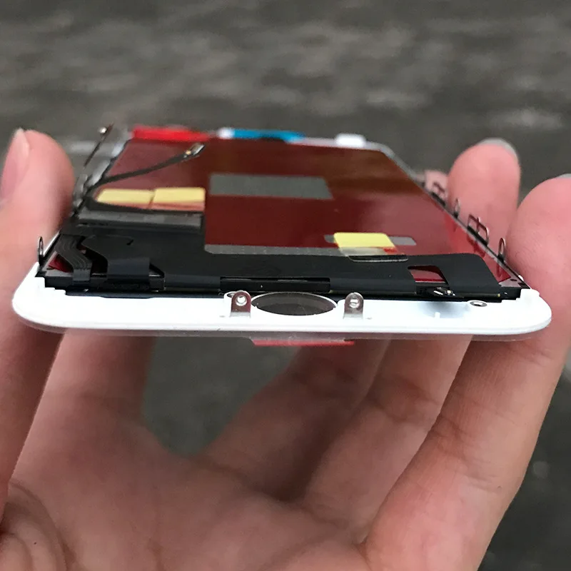 8402049994_390067938