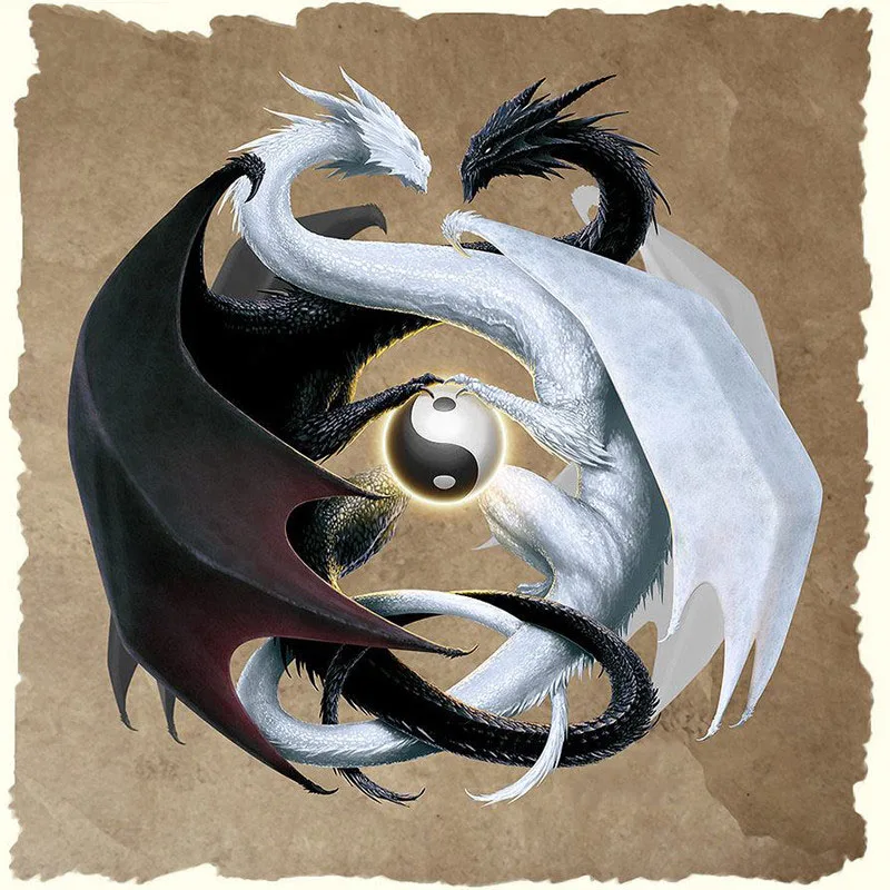 

Zhui star 5D full diamond painting diy diamond painting embroidery cross stitch Home Decor dimond Black white Dragon gift gx