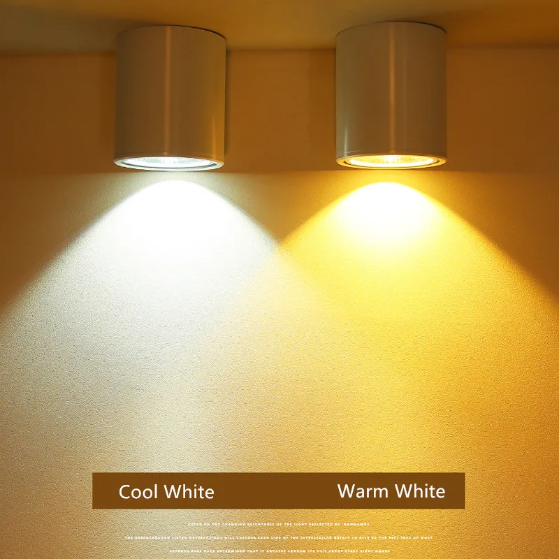 Surface mounted led COB downlight 3W 5W 7W 12W led lamp ceiling AC85-265V spot light LED Downlight Decoration Lamps
Surface mounted led COB downlight 3W 5W 7W 12W led lamp ceiling AC85-265V spot light LED Downlight Decoration Lamps