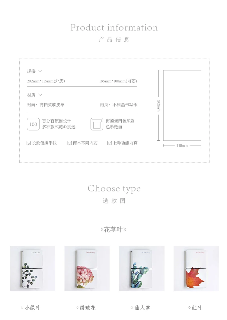   -02