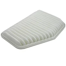 Воздушный фильтр для 2010 Buick Park Avenue 3,0, PONTIAC G8 V6 V8 2008-2010 OEM: 92066873 воздушный фильтр