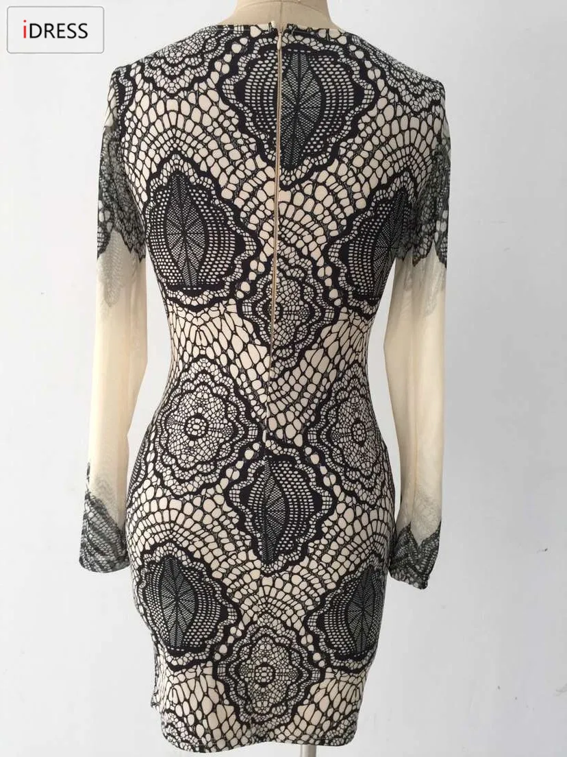 IDress Fashion Women 2016 Sexy Elegant Women Autumn Winter Dress Mesh Long Sleeve Office Casual Dress Women Dress Long Sleeve (12)