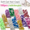 New Fashion colour Cat  Nail Caps soft cat  Claw  Soft Paws100PCS/lot with free Adhesive Glue Size XS S M LGift for pet 2