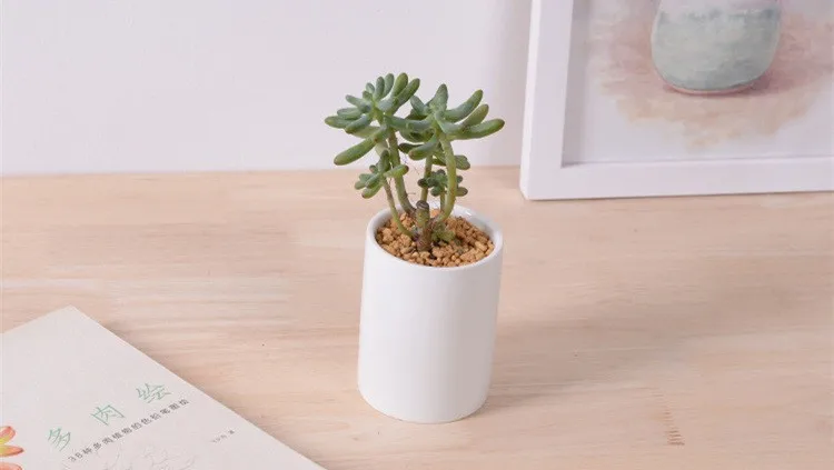 Cylinder shape Flower Pot3