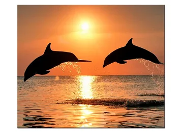 

1 pieces / set New Canvas art Printings Animals Dolphins Painting Wall Art Home Decoration for home Canvas