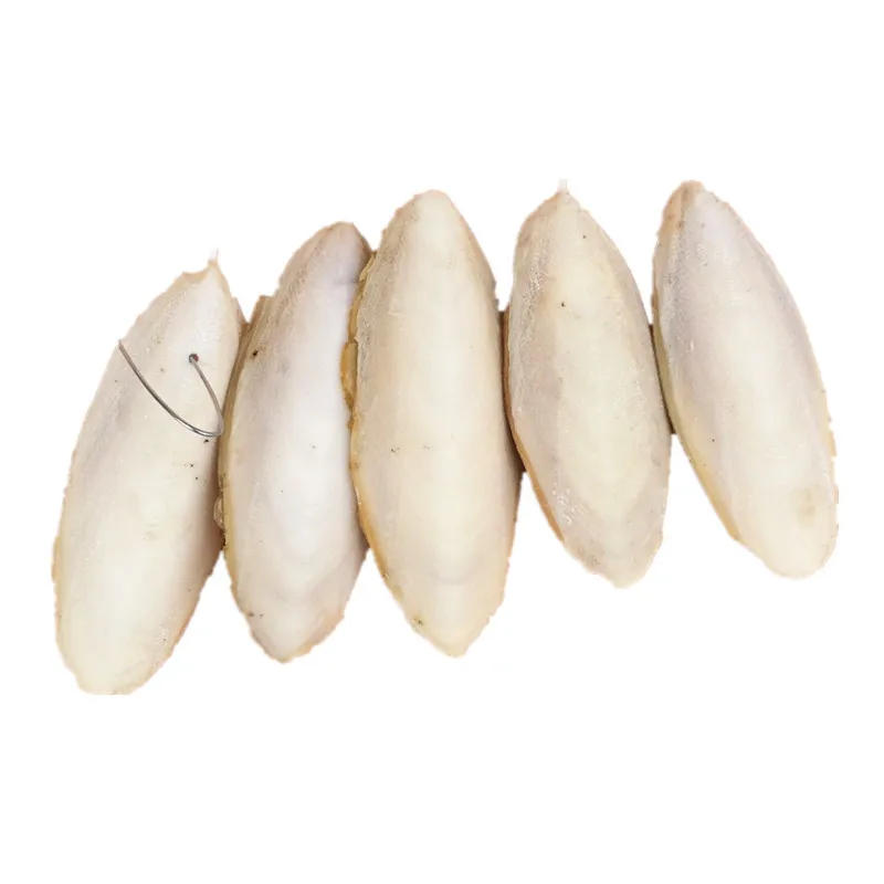 1 Pack Cuttlebone Cuttlefish Sepia Bone Cuttle Fish Bird Food Calcium Pickstone Pet Supplies Parrot Birds Teeth Grind Training