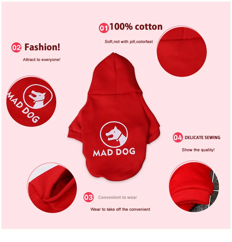 clothes french bulldog