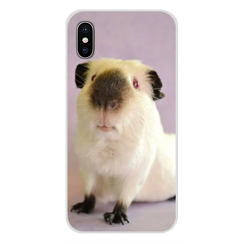 Милые животные морская свинка аксессуары чехлы для телефонов Чехлы Apple iPhone X XR XS MAX