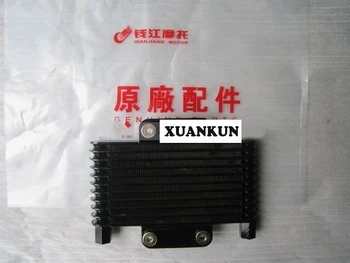 

XUANKUN /QJ250-3 DD250 Oil Cooler Radiator