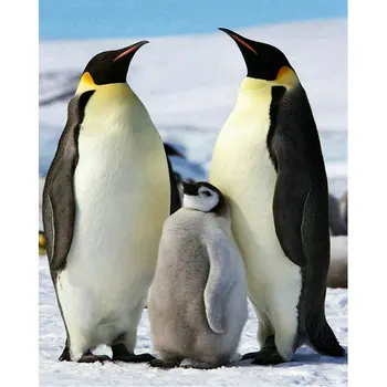 

3D DIY Diamond Painting cross stitch penguin Family Handicraft Canvas Oil Scroll Dimensional diamond Embroidery animal picture