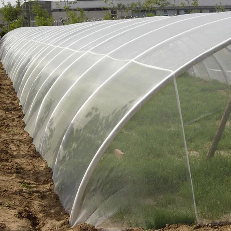 

Bug Insect Bird Net Barrier Vegetables Fruits Flowers Plant Protection Greenhouse Garden Netting Hot Sale