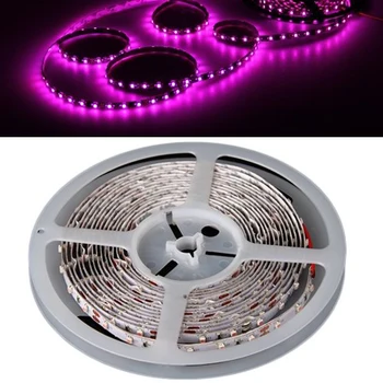 

CNIM Hot 5M 300 3528 SMD LED Light Flexible Waterproof 12V Dc Pink