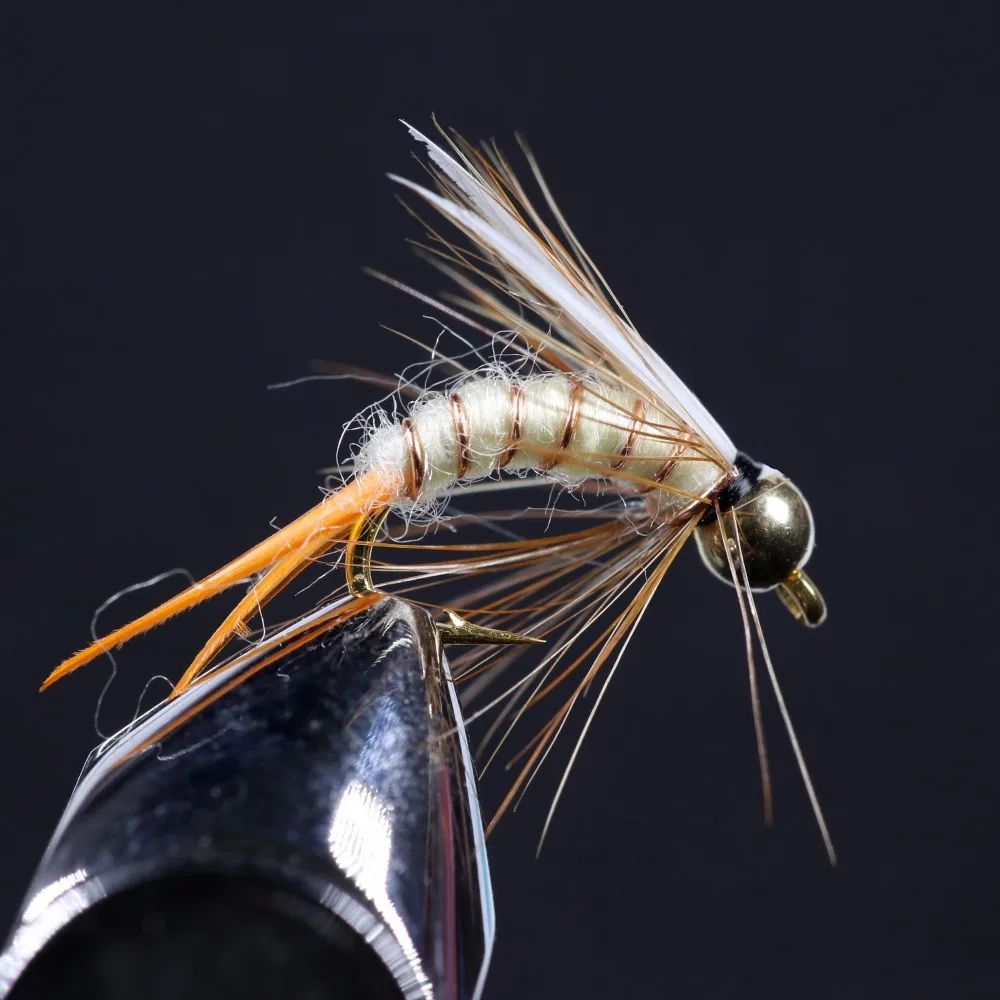 Wifreo 8 قطع حجم 12 14 النحاس الخرزة رئيس الأمير الحورية Stonefly الحورية كاديس يطير الأسود الأرجواني البني الأبيض اللون الصيد إغراء الطعم Wifreo 8 قطع حجم 12 14 النحاس الخرزة رئيس الأمير الحورية Stonefly الحورية كاديس يطير الأسود الأرجواني البني الأبيض اللون الصيد إغراء الطعم