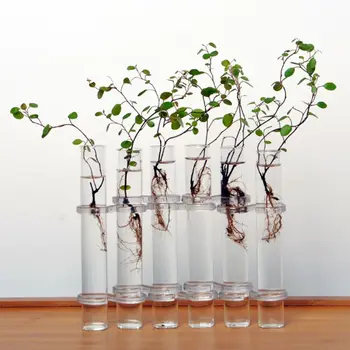 

Glass Vases Set of 6 Flower Plant Vase Terrarium Container for Home Decration