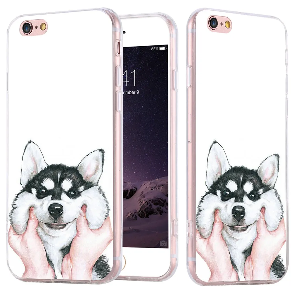 dog case (4)
