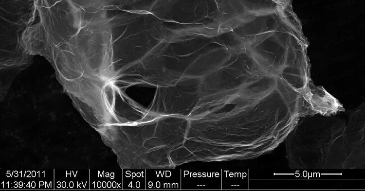 Single layer SEM3
