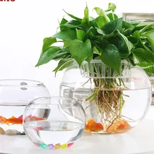 Большой Стеклянный гидропонный цветочный горшок офисный Настольный для воды зеленая медь деньги трава ваза Круглый прозрачный аквариум