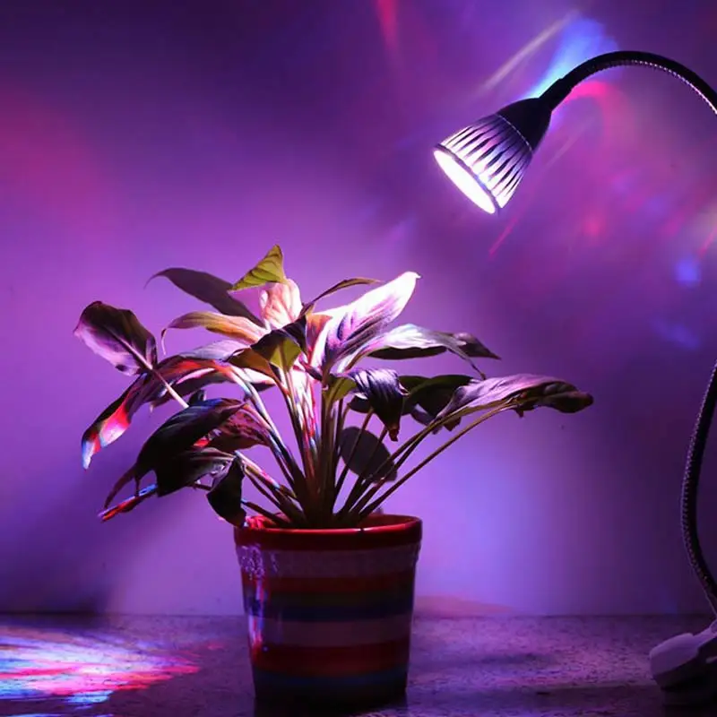 

3 Heads 15W Led Grow Light With Clip Flexible Plant Flower Vegetable Growing Lamp For Office Home Greenhouse Hydroponics SDF-SHI