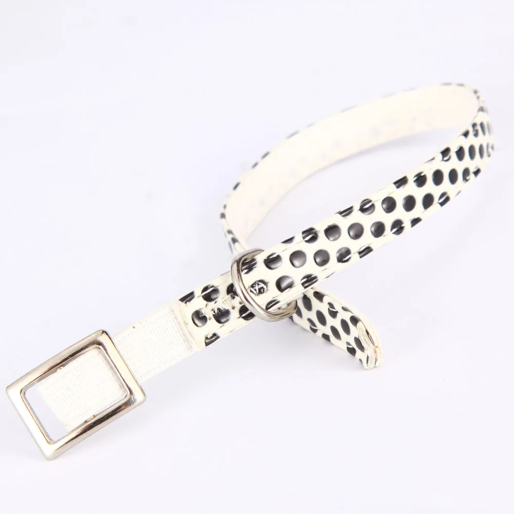 Dog Collar for Small Dogs (6)