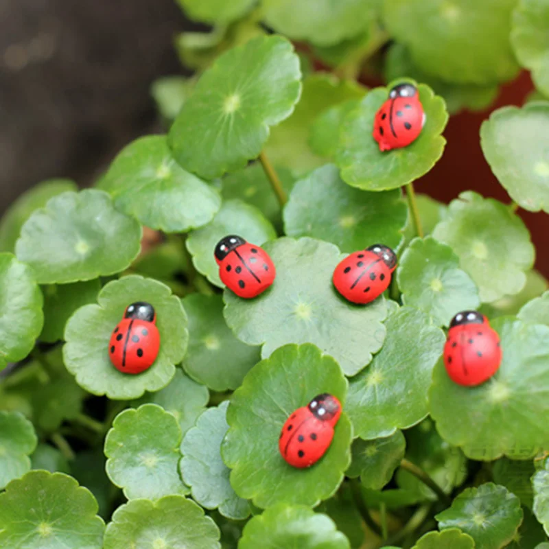 20-200pcs DIY Wooden Mini Ladybird Ladybug Sticker Kids Painted Adhesive Craft 20-200pcs DIY Wooden Mini Ladybird Ladybug Sticker Kids Painted Adhesive Craft