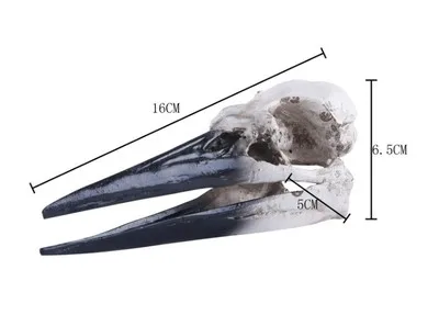 Dinosaur bird skull Medical Science Educational Supplies Skull Skeleton Mold Kids Gifts Toys Halloween Decoration