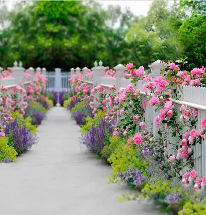 

5X7ft Beautiful outdoor flowers Children Background for Photo Studio Wedding Photography Thin Vinyl Photo Backdrops
