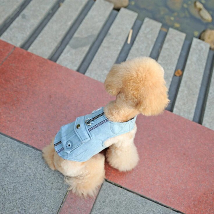 QQ20151221153656.jpg