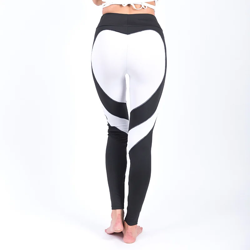 energetics dry plus leggings