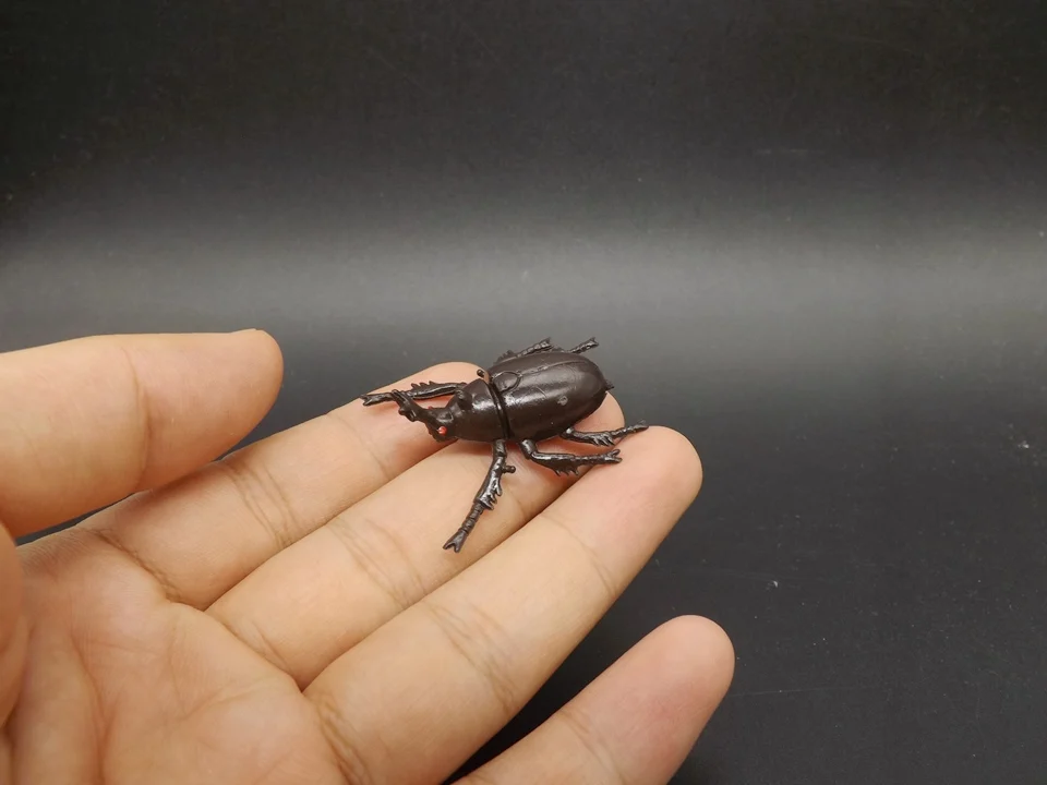 J175-Beetle (2)