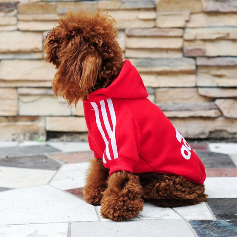 sweat adidas pour chien sweat adidas pour chien