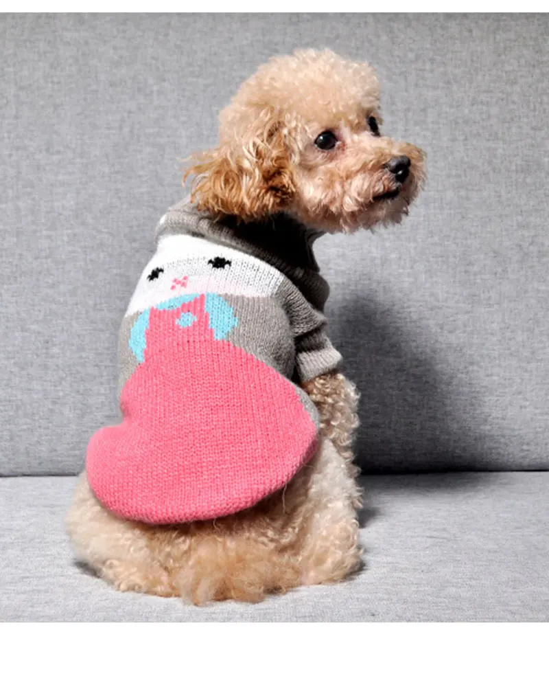 pet clothes for french bulldog