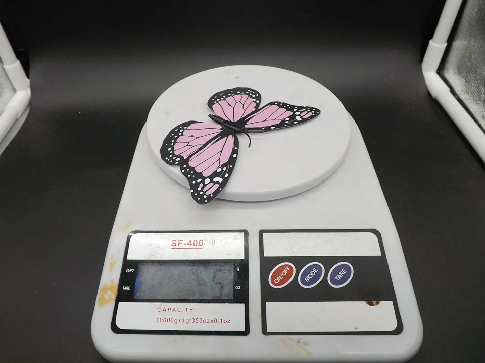 I242-Butterfly (14)