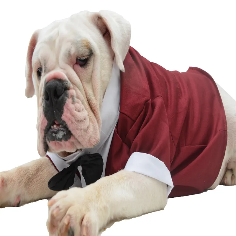 Свадебная большая собака костюм Мопс Великобритания FR бульдог ласточкин хвостый смокинг официальная одежда куртка для питбультерьер