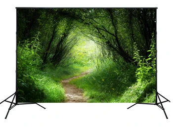 

2016 New arrival green Grands photography backdrops photo background for stage XT-4167