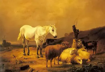 

Oil painting eugene verboeckhoven horse sheep and goat in landscape in dusk art