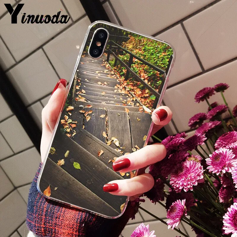 Autumn falling leaves