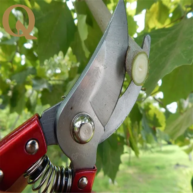 Big sale! High grade garden branch cut fruit tree pruning shears