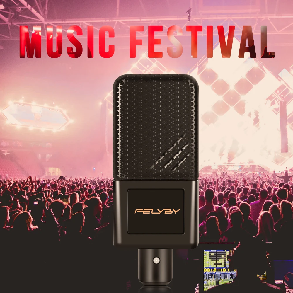 FELYBY BM1000 Professional Condenser Karaoke