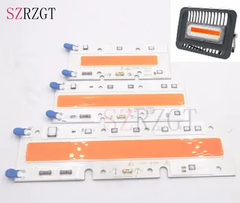 

COB 110V 220V Chips 30W 50W 70W Full Spectrum LED Bulb Lamp Light Input Smart IC