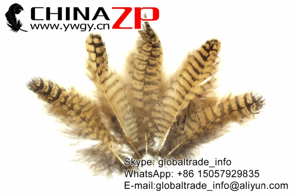 owl plumes (1)