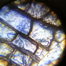 Студентов и школьников, развивающие Пластик слайды подготовленные для микроскопа Биологический образец микроскоп Обучающие игрушки