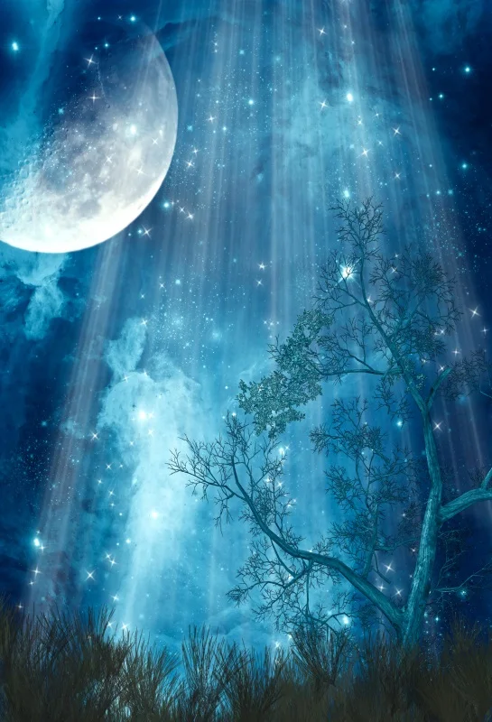 

Laeacco Dream Forest Spot Moon Photo Backgrounds Customized Vinyl Digital Photography Backdrops For Photo Studio