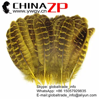 

CHINAZP Factory 100pcs/lot Good Quality Colored Yellow Natural Ringneck Hen Pheasant Quill Wing Feathers for Costume Projects