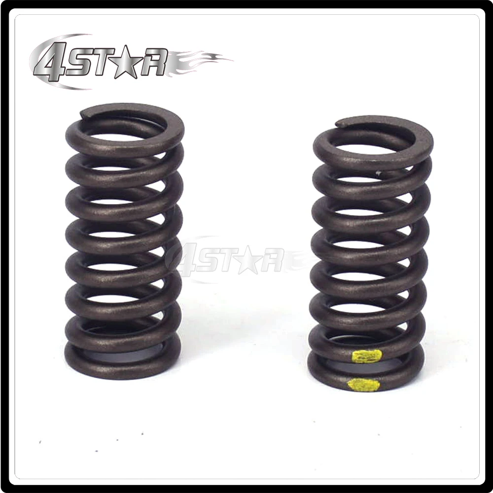 

High Performance Valve Spring Kit For Motorcycle ZS177MM ZONGSHEN Engine NC250 ZS250GY-3 4 KAYO T6 BSE J5 RX3 4 Valves Parts