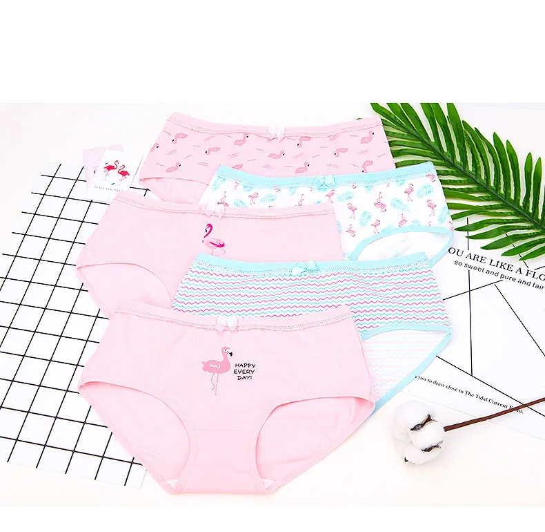 Panties 5Pieces Women Cotton Briefs Underwear Fashion Cute Girls