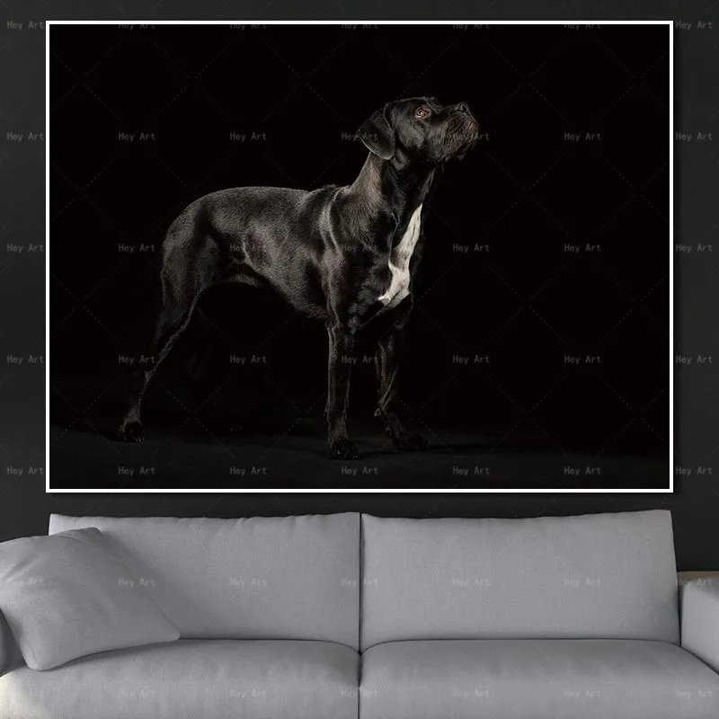 Black White Wall art Posters and Prints Animals Canvas Painting Frameless painting Giclee Paintings for Living Room Black White Wall art Posters and Prints Animals Canvas Painting Frameless painting Giclee Paintings for Living Room