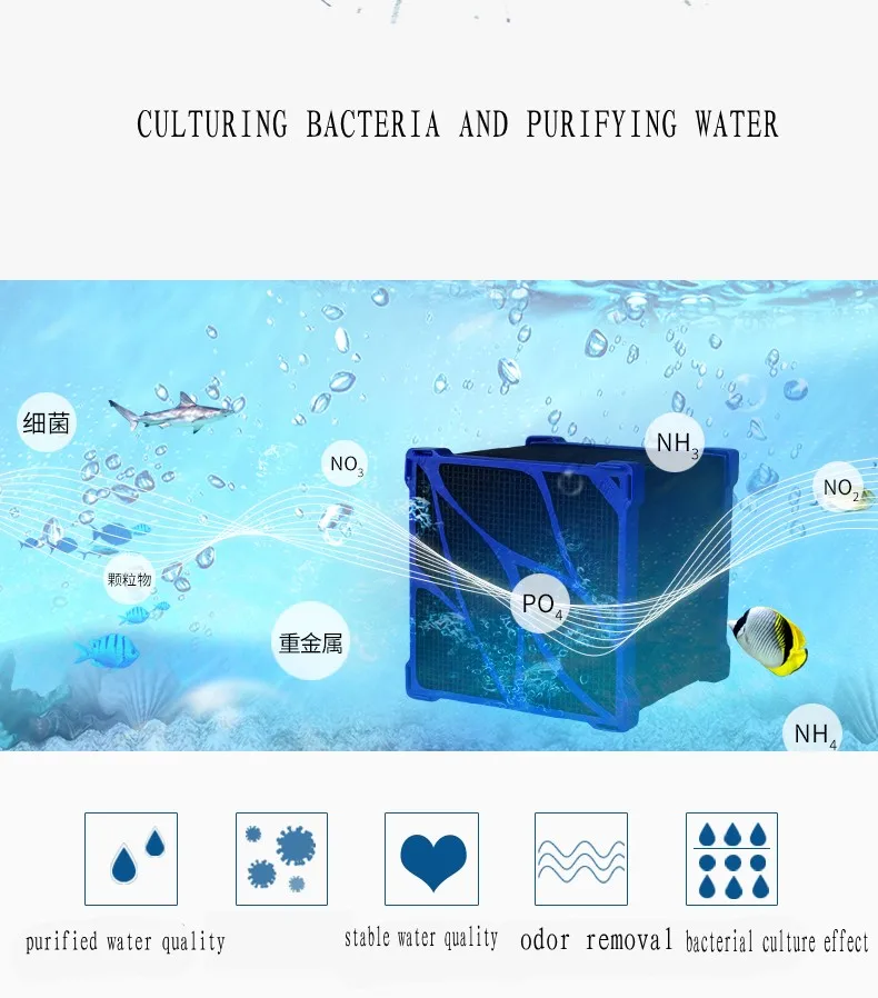 02_conew1